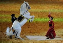 Как андалузские лошади танцуют фламенко